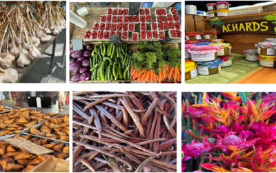 Rapport d&rsquo;activité 2024